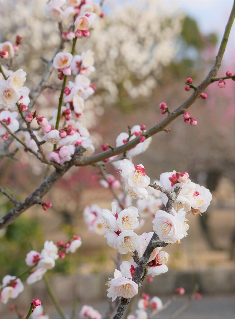 fp相談の料金はどのくらいかかるの？