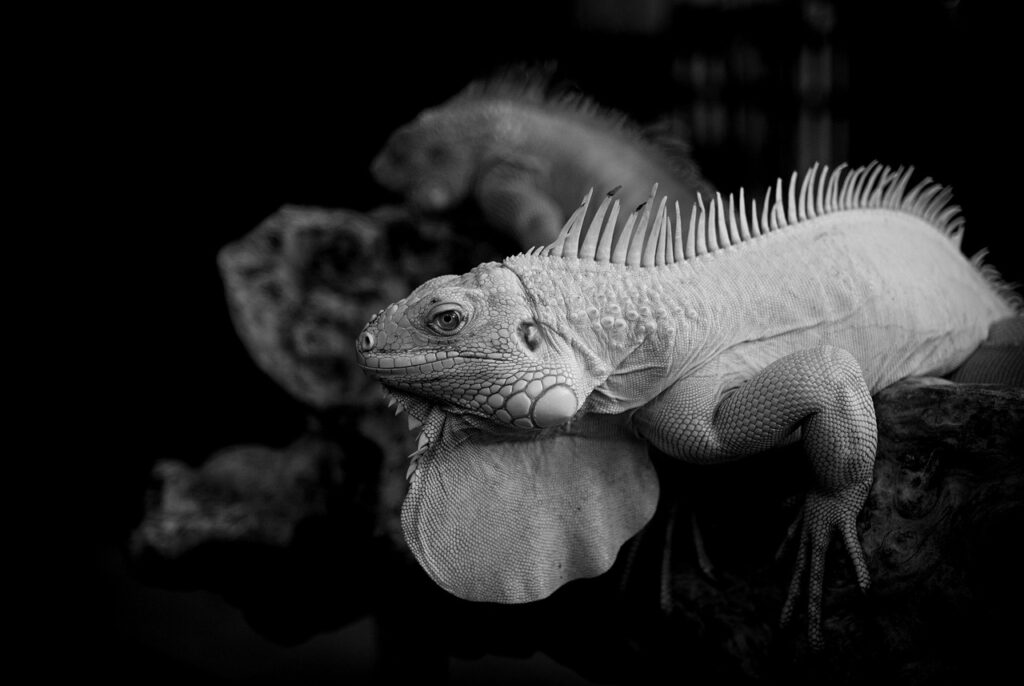 がん保険は本当に必要？もったいないと感じる理由とは？