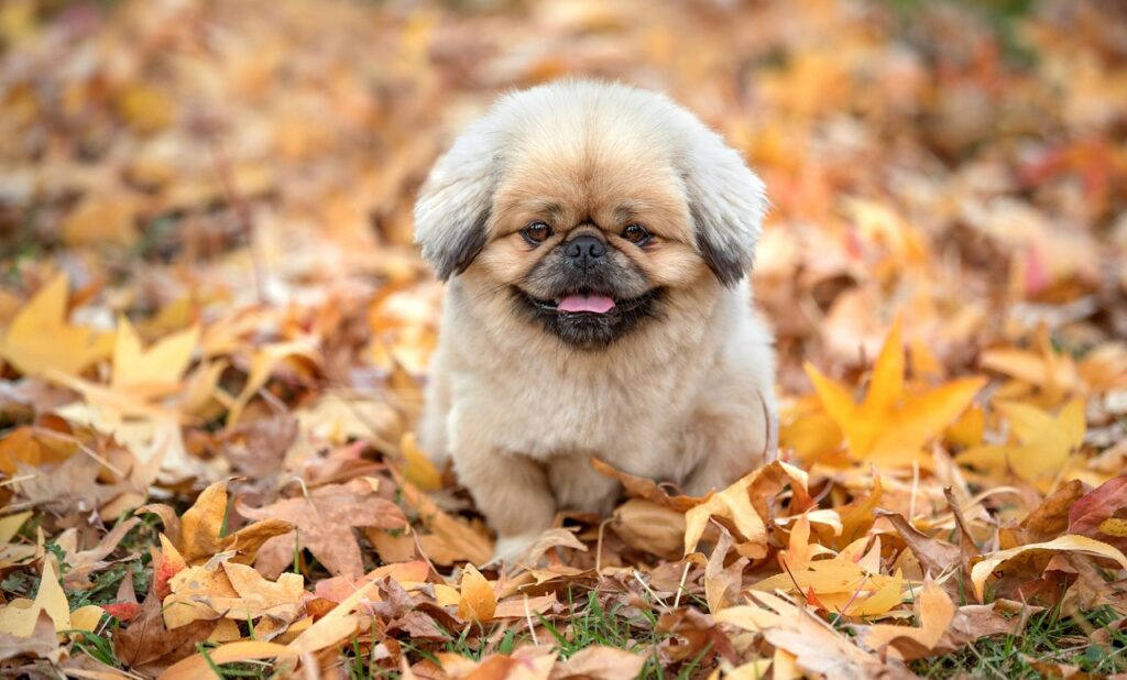 入院の定義とは何か、知っておくべきポイントは？