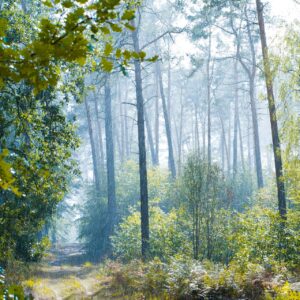 日帰り入院の具体例にはどんなものがあるの？