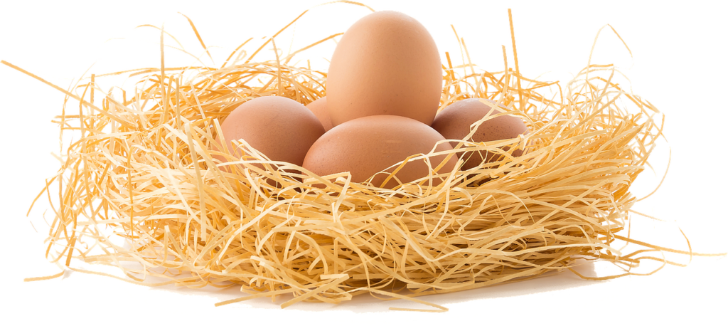 がん保険で卵巣がんの保障はどこまでカバーされるのか？