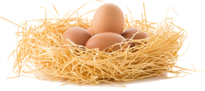 がん保険で卵巣がんの保障はどこまでカバーされるのか？